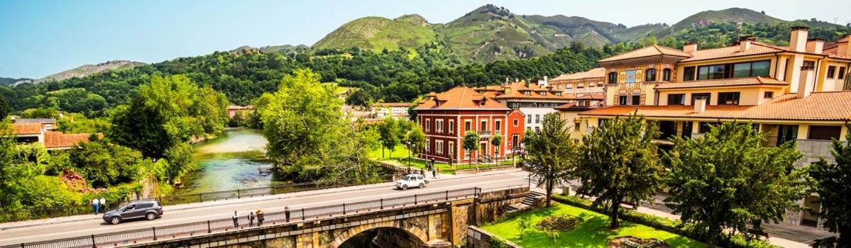 Apartamento Con Terraza Al Puente Romano Cangas de Onis Exterior photo